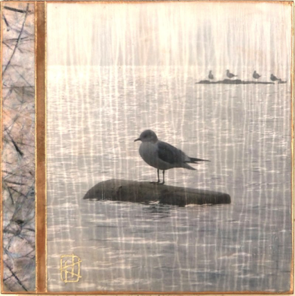 Rainy Day Gulls